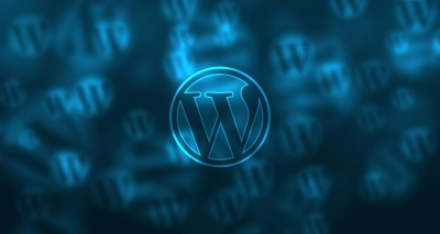 Платформа для сайтов Wordpress (Часть 1, обзор и установка)
